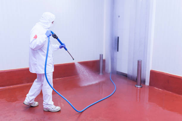 Best Parking Lot Cleaning in Chapel Hill, TN