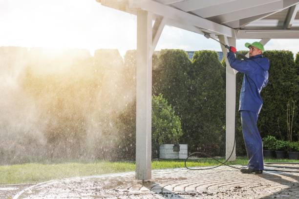 Best Residential Pressure Washing in Chapel Hill, TN